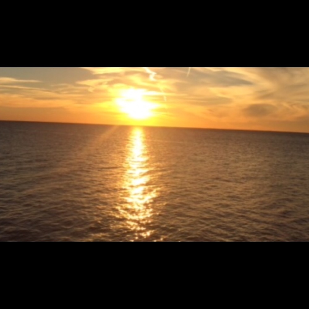 Meet your Posher, Livinsouthern